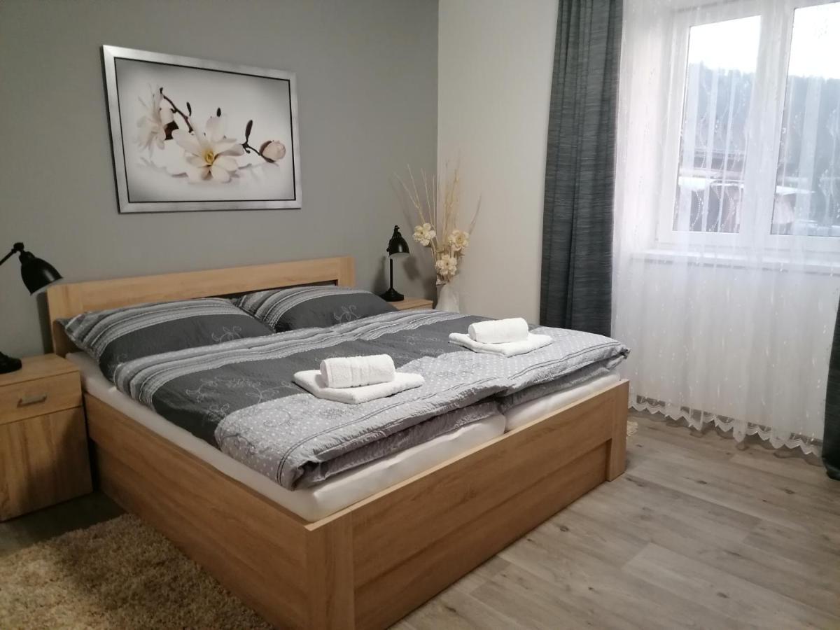 Apartman 88 Červená Voda Eksteriør billede