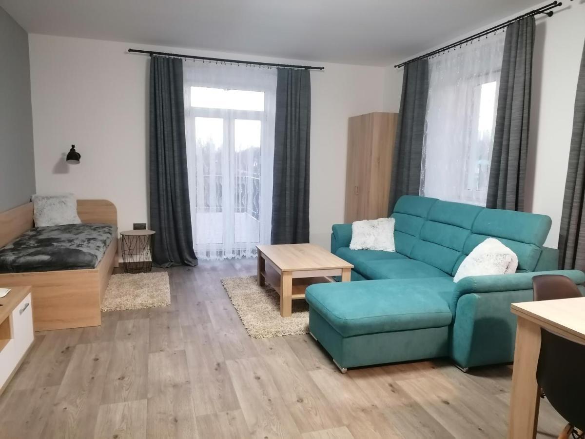 Apartman 88 Červená Voda Eksteriør billede